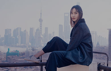 grid_dummy_fig02_390_250